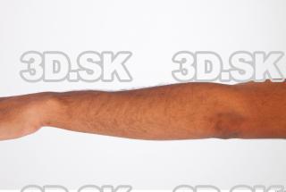 Forearm modeling reference of Glen 0001